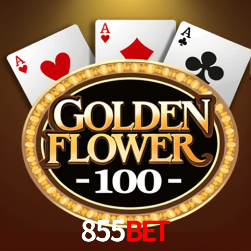 Sinta a adrenalina dos jogos de cassino com 855Bet